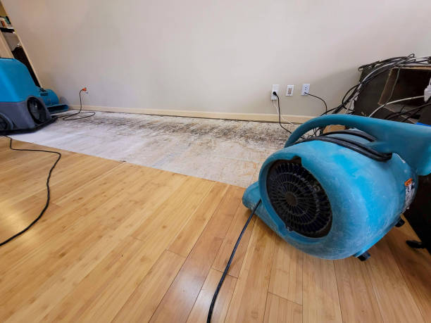 Professional Water Damage Repair technician working in Mohrsville, PA